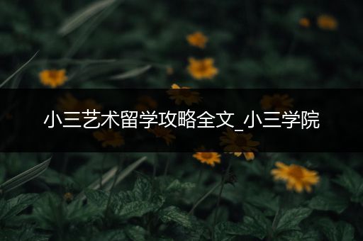 小三艺术留学攻略全文_小三学院