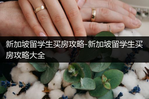 新加坡留学生买房攻略-新加坡留学生买房攻略大全
