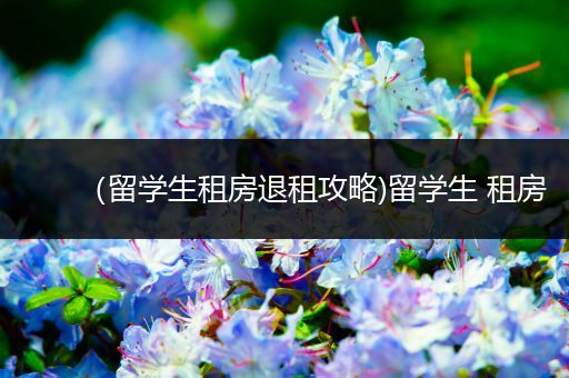 （留学生租房退租攻略)留学生 租房
