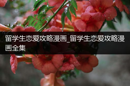 留学生恋爱攻略漫画_留学生恋爱攻略漫画全集