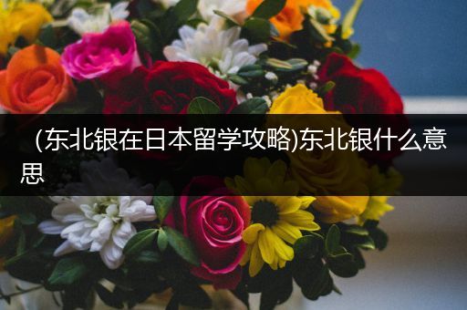 （东北银在日本留学攻略)东北银什么意思