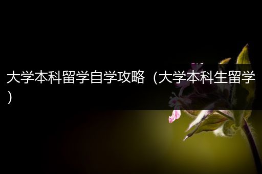 大学本科留学自学攻略（大学本科生留学）