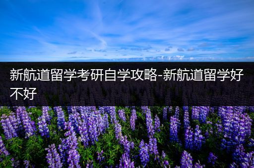 新航道留学考研自学攻略-新航道留学好不好