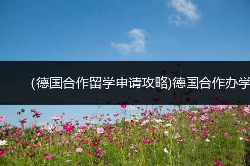 （德国合作留学申请攻略)德国合作办学