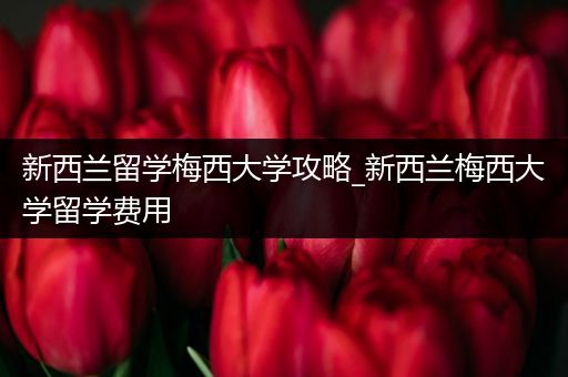 新西兰留学梅西大学攻略_新西兰梅西大学留学费用