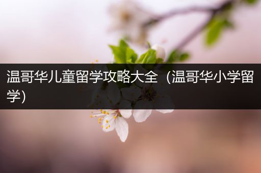 温哥华儿童留学攻略大全（温哥华小学留学）