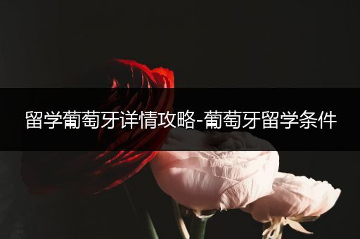 留学葡萄牙详情攻略-葡萄牙留学条件