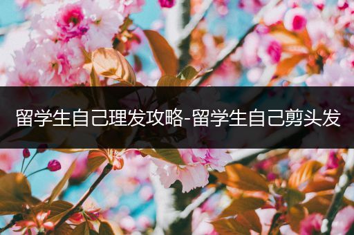 留学生自己理发攻略-留学生自己剪头发