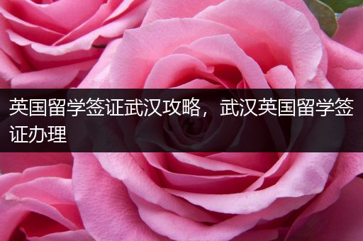 英国留学签证武汉攻略，武汉英国留学签证办理