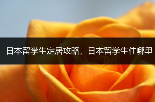 日本留学生定居攻略，日本留学生住哪里