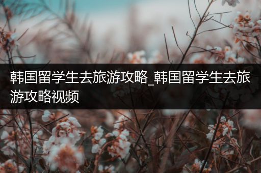 韩国留学生去旅游攻略_韩国留学生去旅游攻略视频