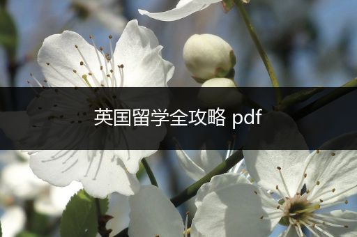 英国留学全攻略 pdf