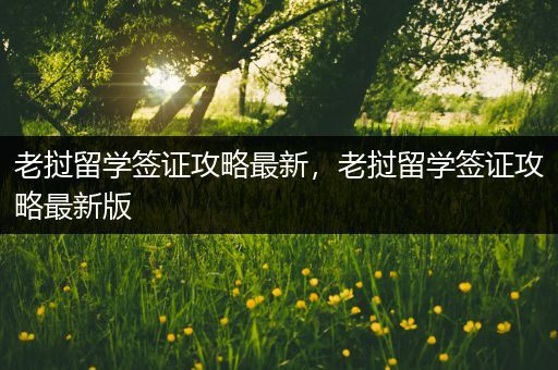 老挝留学签证攻略最新，老挝留学签证攻略最新版