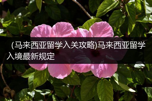 （马来西亚留学入关攻略)马来西亚留学入境最新规定
