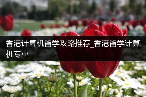 香港计算机留学攻略推荐_香港留学计算机专业