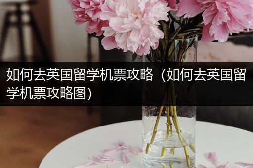 如何去英国留学机票攻略（如何去英国留学机票攻略图）