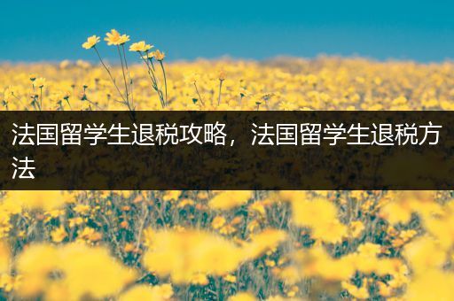 法国留学生退税攻略，法国留学生退税方法