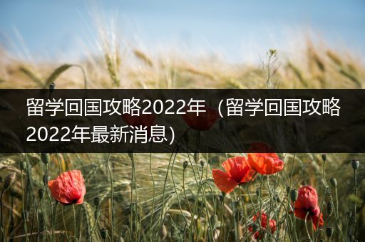 留学回国攻略2022年（留学回国攻略2022年最新消息）