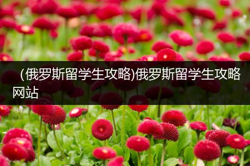 （俄罗斯留学生攻略)俄罗斯留学生攻略网站