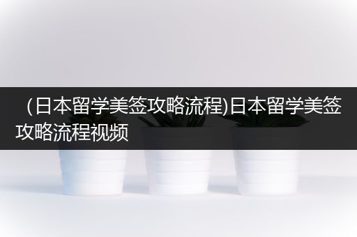 （日本留学美签攻略流程)日本留学美签攻略流程视频