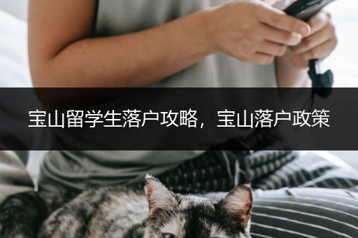 宝山留学生落户攻略，宝山落户政策