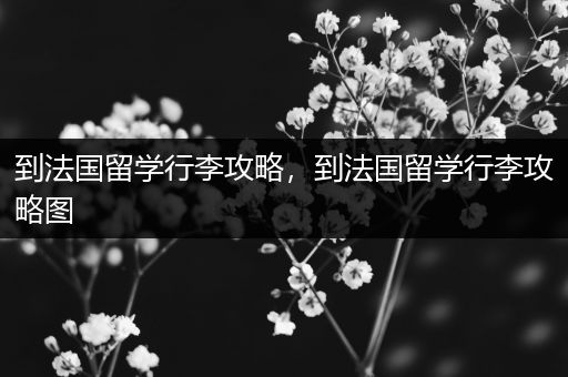 到法国留学行李攻略，到法国留学行李攻略图