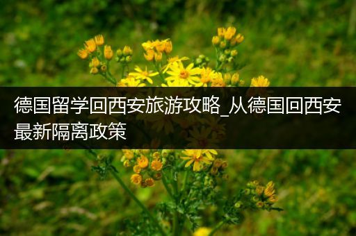 德国留学回西安旅游攻略_从德国回西安最新隔离政策