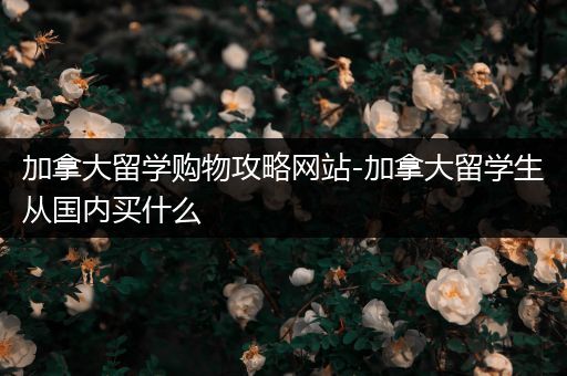 加拿大留学购物攻略网站-加拿大留学生从国内买什么