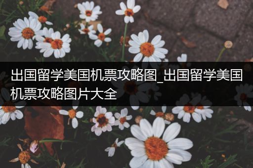 出国留学美国机票攻略图_出国留学美国机票攻略图片大全