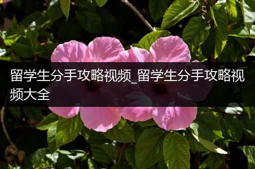留学生分手攻略视频_留学生分手攻略视频大全