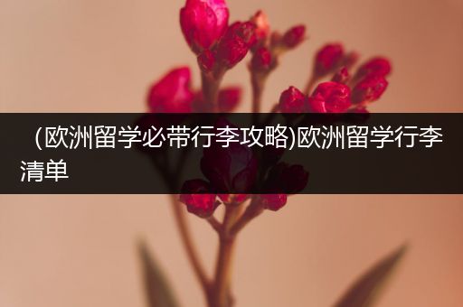 （欧洲留学必带行李攻略)欧洲留学行李清单