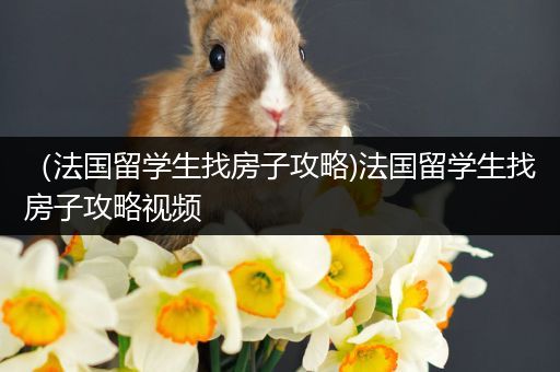 （法国留学生找房子攻略)法国留学生找房子攻略视频