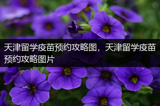 天津留学疫苗预约攻略图，天津留学疫苗预约攻略图片