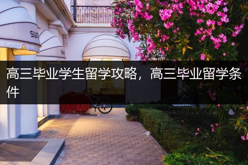 高三毕业学生留学攻略，高三毕业留学条件