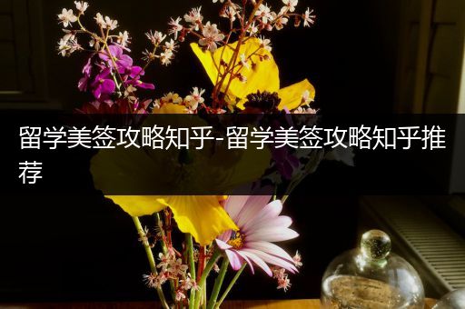 留学美签攻略知乎-留学美签攻略知乎推荐