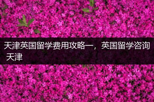 天津英国留学费用攻略一，英国留学咨询 天津