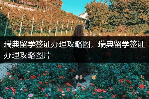 瑞典留学签证办理攻略图，瑞典留学签证办理攻略图片