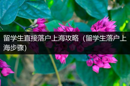 留学生直接落户上海攻略（留学生落户上海步骤）