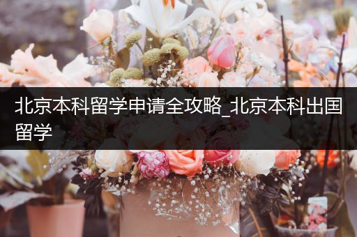 北京本科留学申请全攻略_北京本科出国留学