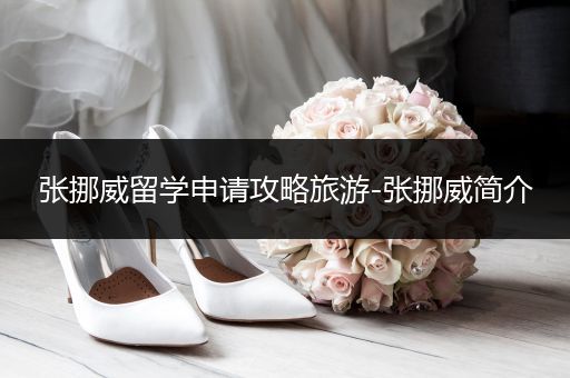 张挪威留学申请攻略旅游-张挪威简介