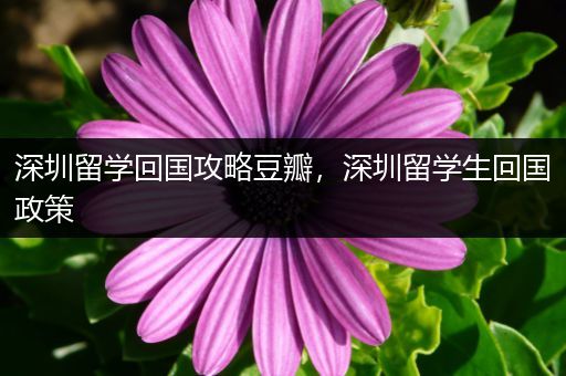 深圳留学回国攻略豆瓣，深圳留学生回国政策