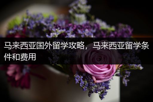 马来西亚国外留学攻略，马来西亚留学条件和费用