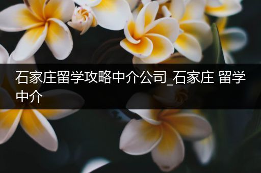 石家庄留学攻略中介公司_石家庄 留学中介