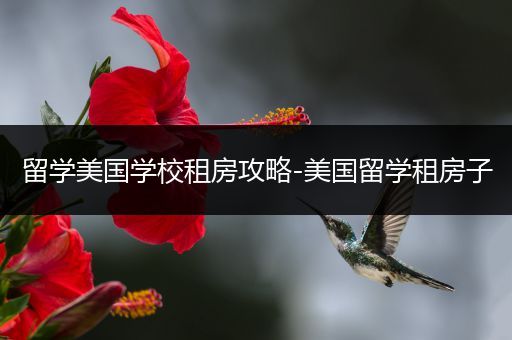 留学美国学校租房攻略-美国留学租房子