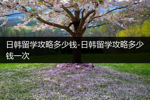 日韩留学攻略多少钱-日韩留学攻略多少钱一次