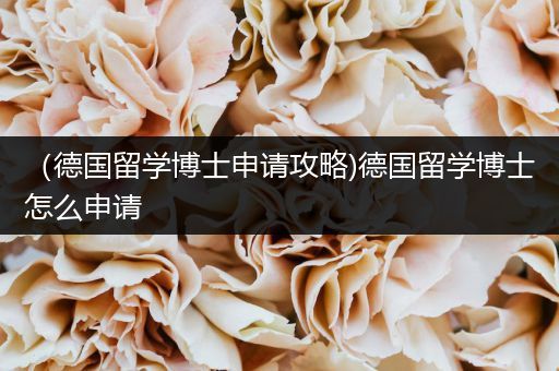 （德国留学博士申请攻略)德国留学博士怎么申请