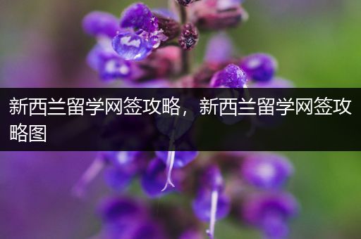新西兰留学网签攻略，新西兰留学网签攻略图