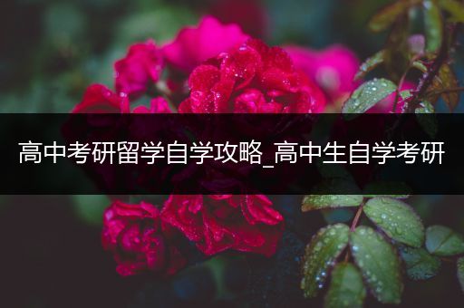 高中考研留学自学攻略_高中生自学考研