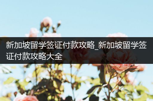 新加坡留学签证付款攻略_新加坡留学签证付款攻略大全