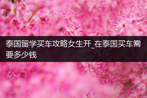 泰国留学买车攻略女生开_在泰国买车需要多少钱